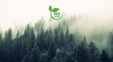 Canossa is now ISO 14001 certified! | Monaco